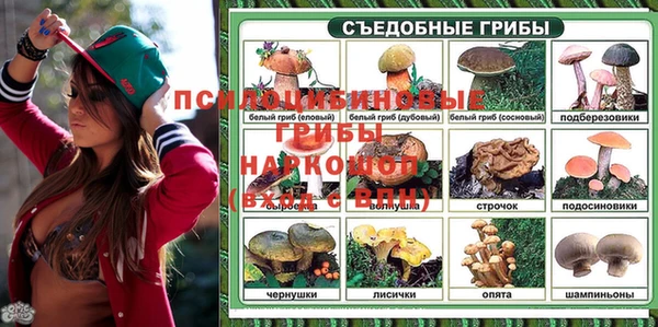 эйфоретик Алексин